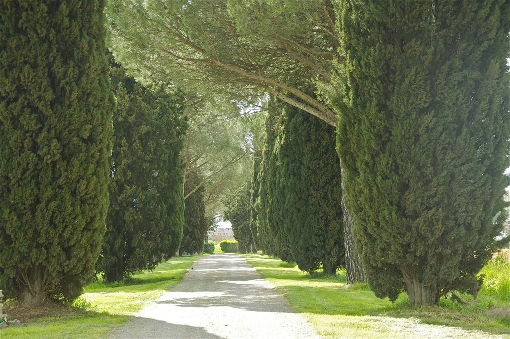 Agroturismo Morami Wine
