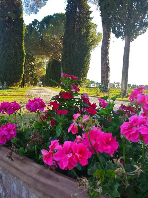 Agroturismo Morami Wine *