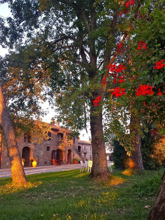 Agroturismo Morami Wine